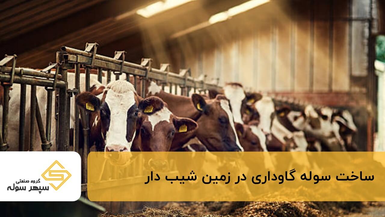 ساخت سوله برای دامداری در زمین شیب دار